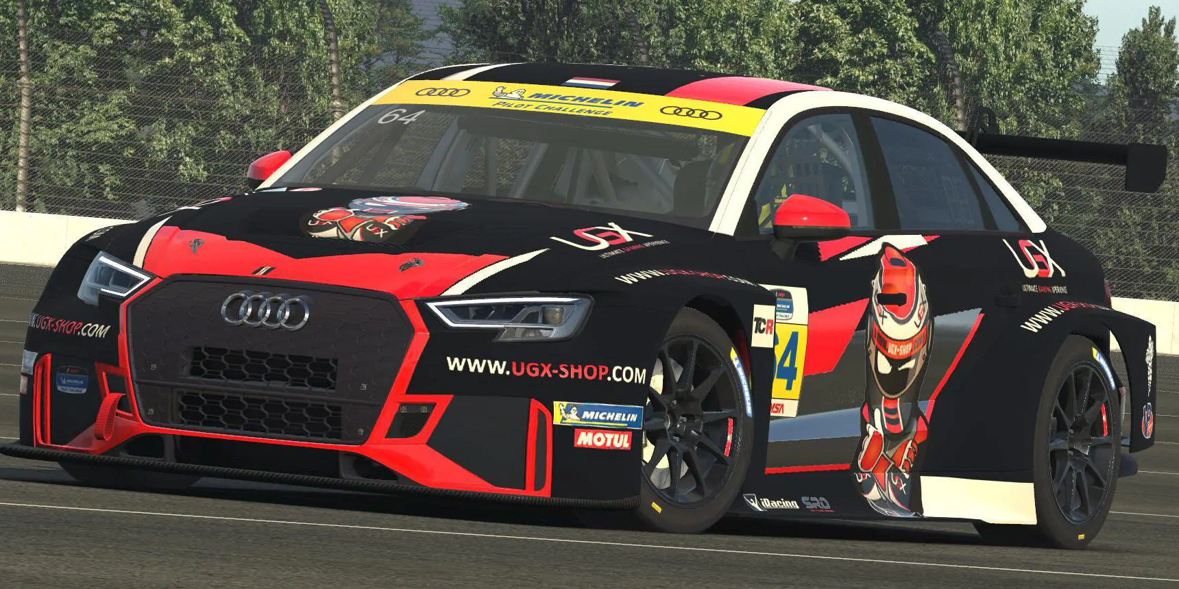 iRacing Audi Rs3