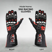 Sim racing gloves front and back design
